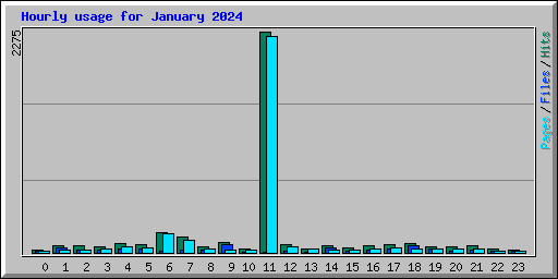 Hourly usage for January 2024