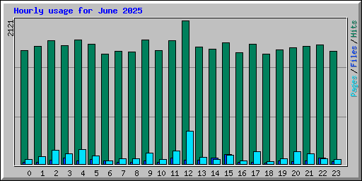 Hourly usage for June 2025