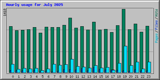 Hourly usage for July 2025