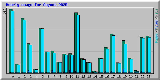 Hourly usage for August 2025