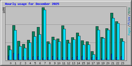 Hourly usage for December 2025