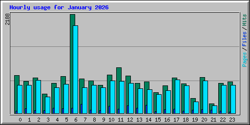 Hourly usage for January 2026