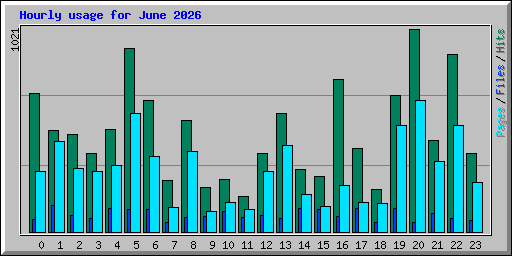 Hourly usage for June 2026