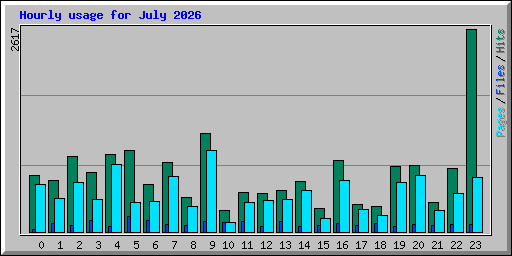 Hourly usage for July 2026